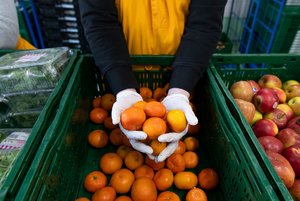 gespendete Lebensmittel